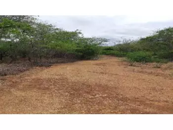 à venda em leilão