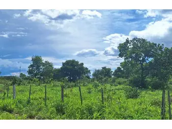Terreno à venda em leilão