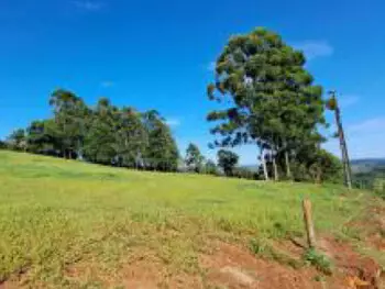  à venda em leilão