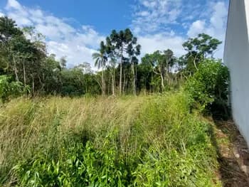 Terreno à venda em leilão