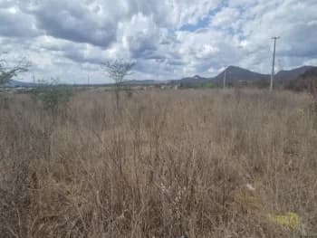 Terreno à venda em leilão