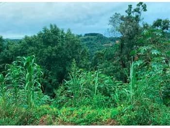 Terreno à venda em leilão