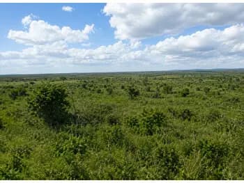 Fazenda à venda em leilão