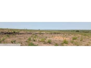 Área Rural à venda em leilão