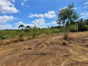 Terreno à venda em leilão