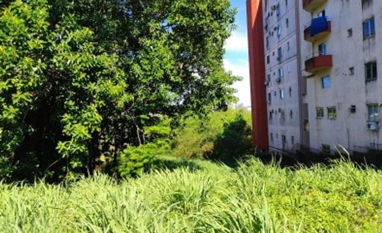 Terreno Urbano De 600,00 M² (12 X 50 Metros), Sem Benfeitorias, Vila Portes, Foz Do Iguaçu/PR