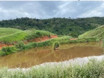 Fazenda à venda em leilão