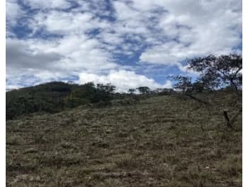 Área Rural à venda em leilão
