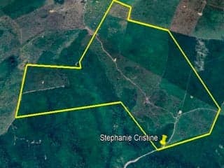 Área Rural 200 ha - Paulo Ramos-MA - Fazenda Sol Nascente I - Povoado Brejo Grande