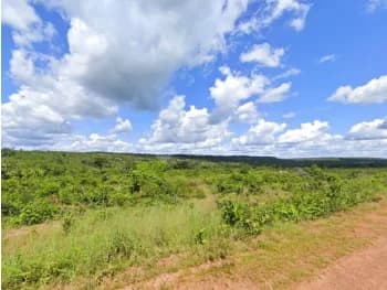 Área Rural à venda em leilão