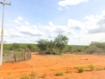 Área Rural à venda em leilão