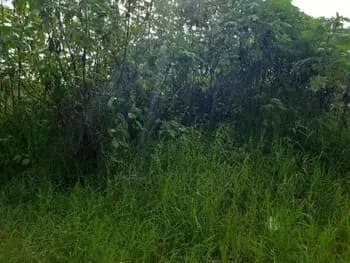 Terreno à venda em leilão