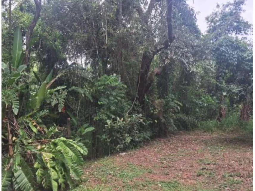 Terreno à venda em leilão