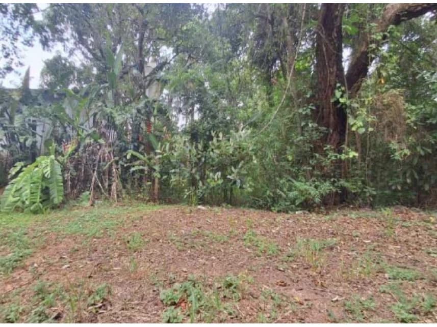 Terreno à venda em leilão - foto 3