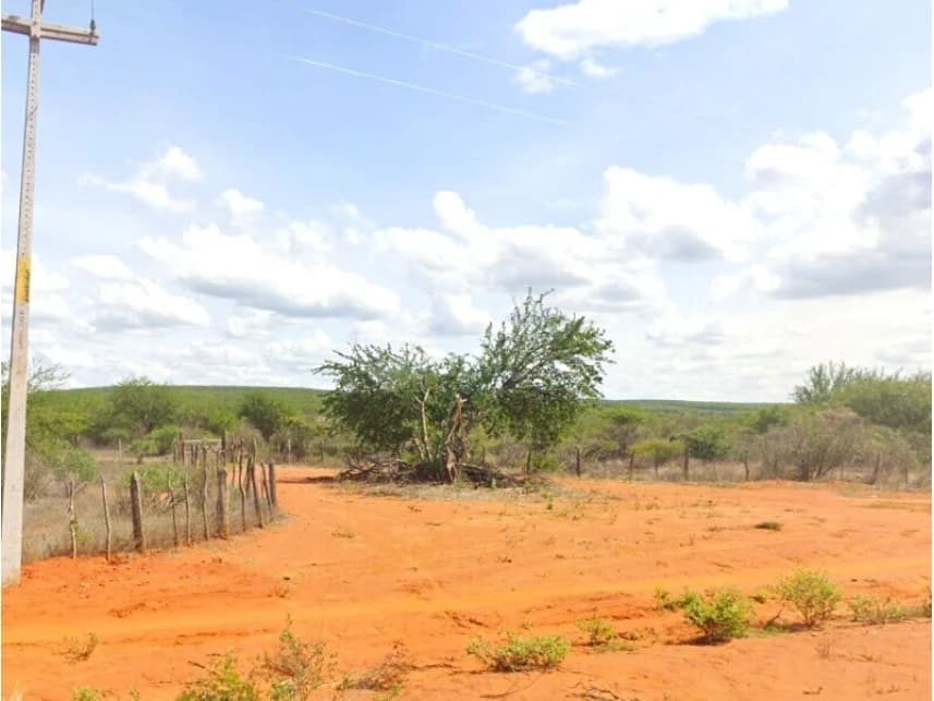 Área Rural à venda em leilão - foto 4