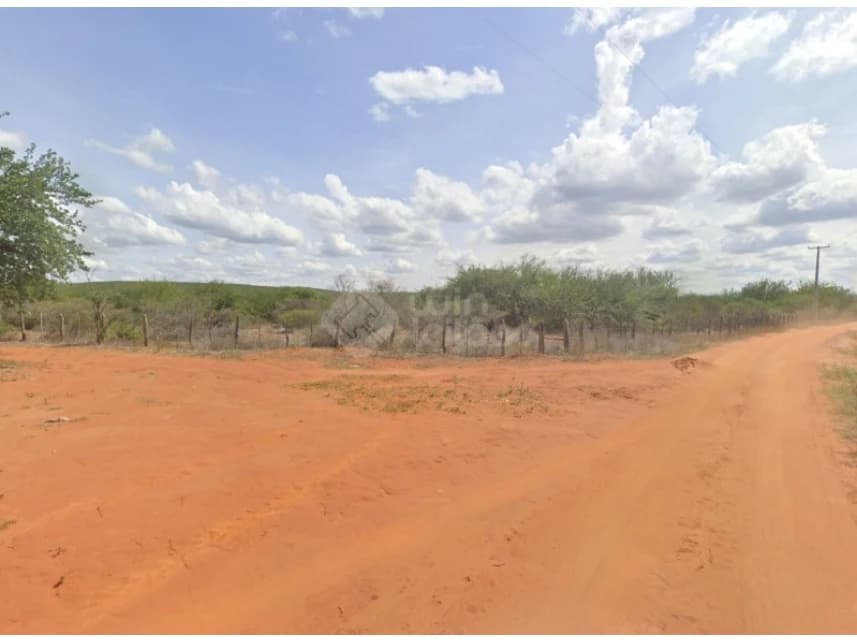 Área Rural à venda em leilão - foto 5