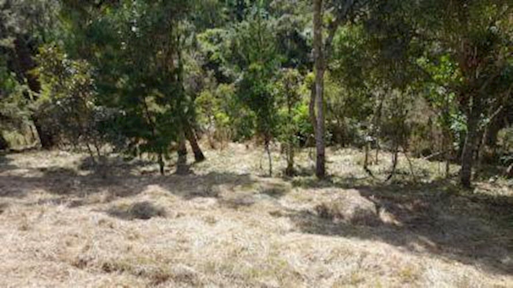 Lote, Em Condomínio, 0 vaga(s) de garagem - foto 4