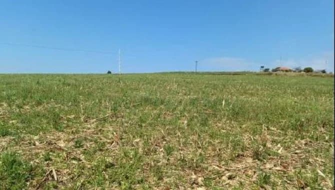 Imóvel Rural com Área de 30.250 m² (Gleba 14) - Colônia Muquilão - Nova Tebas - PR