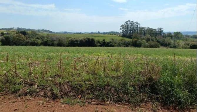 Imóvel Rural com Área de 30.250 m² (Gleba 14) - Colônia Muquilão - Nova Tebas - PR - foto 2