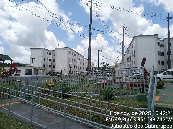 JABOATAO DOS GUARARAPES - BULHOES