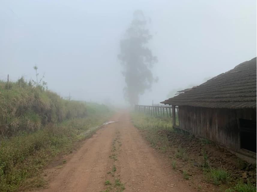 Área Rural à venda em leilão - foto 5
