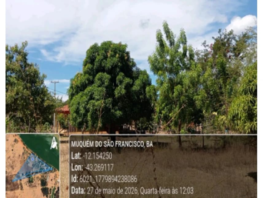 Área Rural à venda em leilão