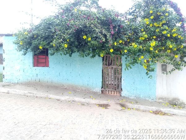 LOT RES NOVA CHA DE ALEGRIA