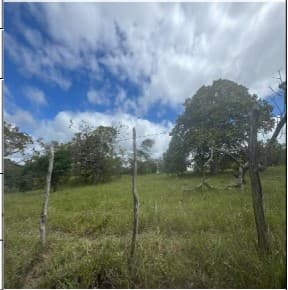 CANHOTINHO - ZONA RURAL