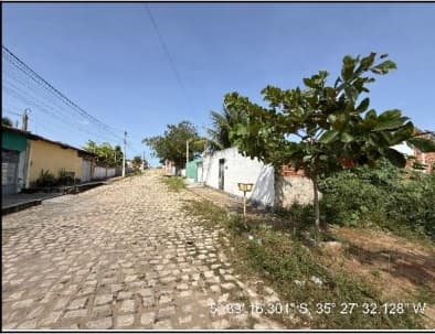 RUY PEREIRA - foto 2