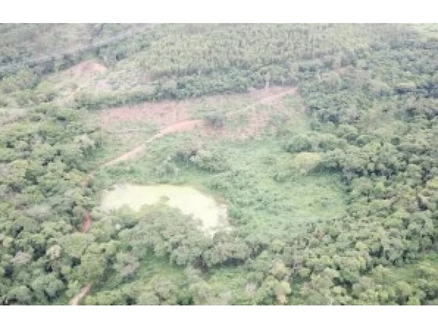 Fazenda à venda em leilão