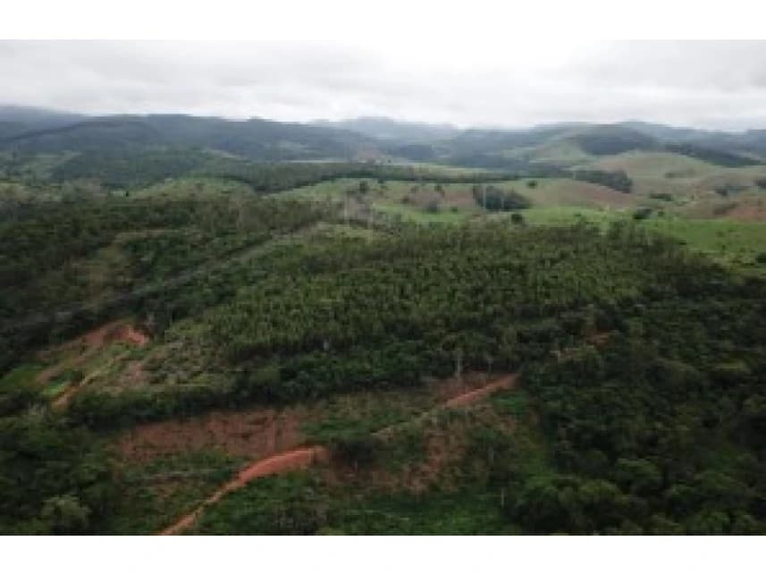 Fazenda à venda em leilão - foto 2
