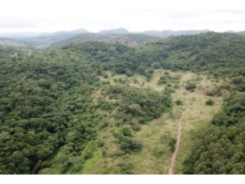 Fazenda à venda em leilão - foto 4