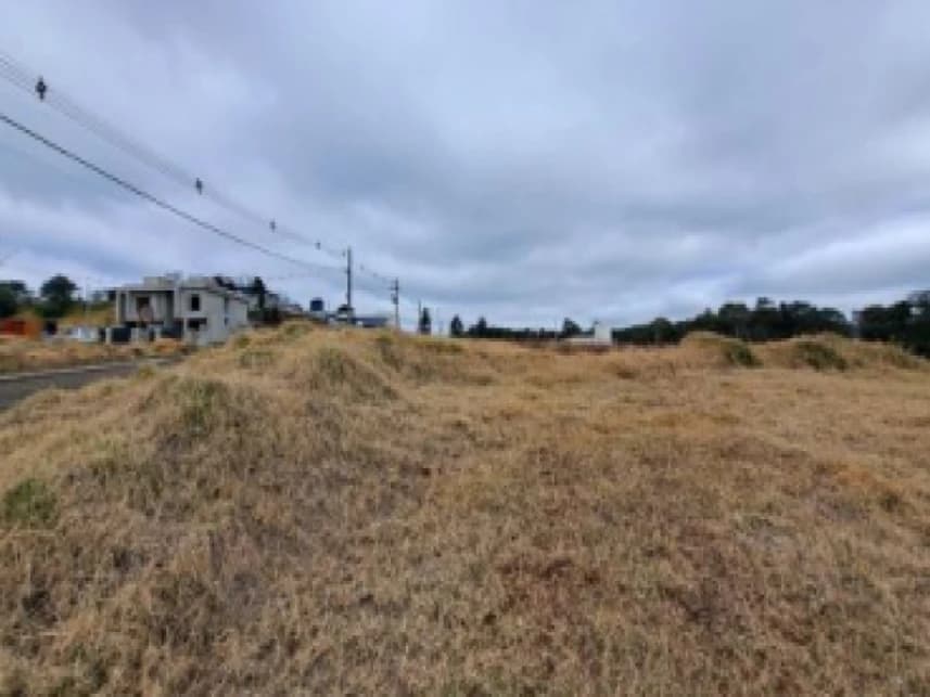 Terreno à venda em leilão - foto 2