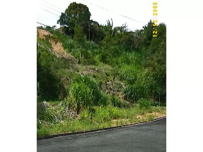 Terreno à venda em leilão - foto 2