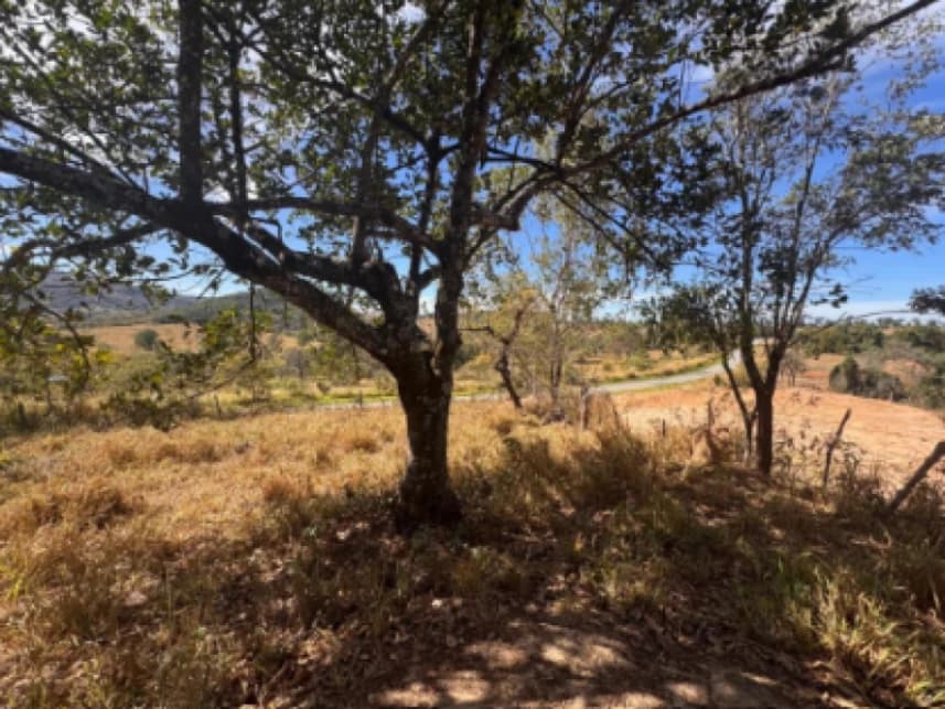 Terreno à venda em leilão