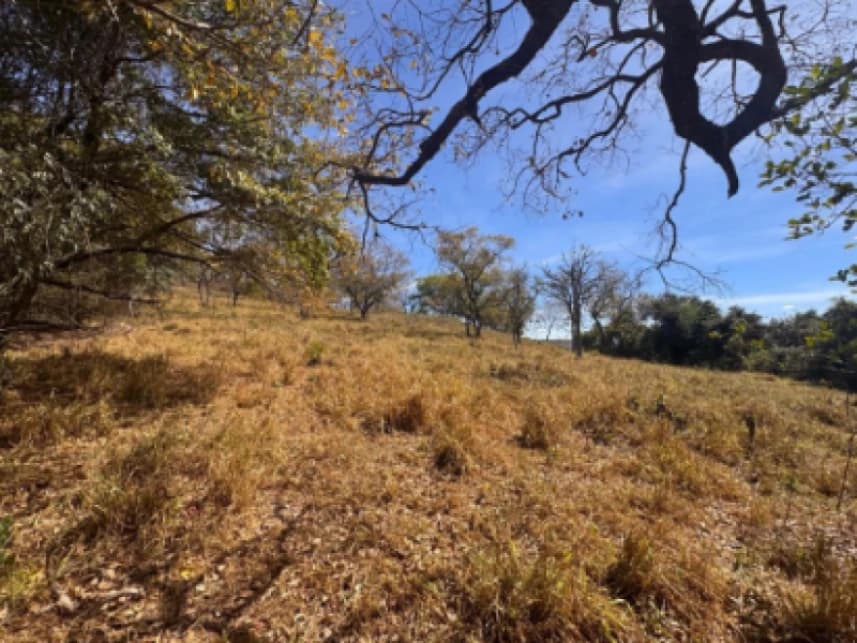 Terreno à venda em leilão - foto 2