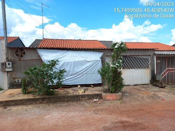 COCALZINHO DE GOIAS - LOT GIRASSOL