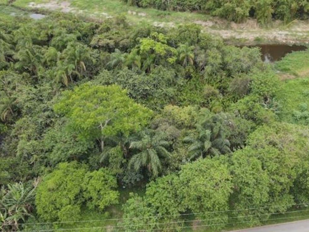 Terreno 250 m² (Lt. 30 da Qd. 11) - Nova Peruíbe - Peruíbe - SP