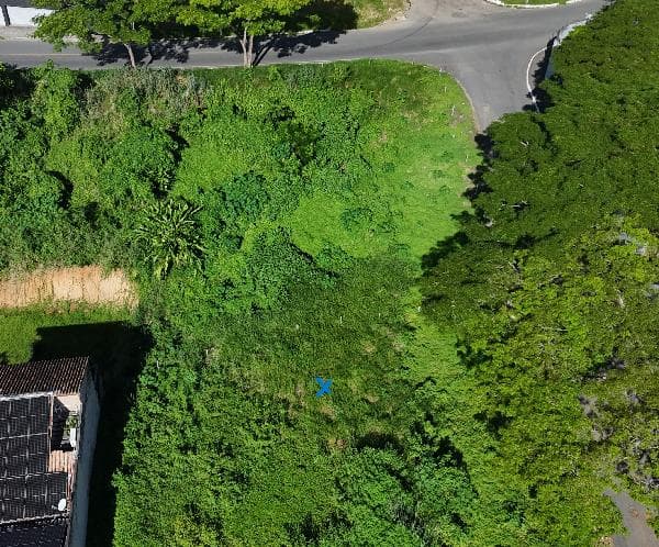 NOVO BAIRRO CONCEIÇÃO