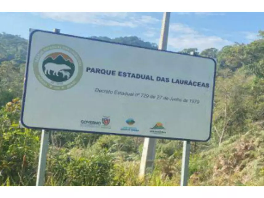 Área Rural à venda em leilão - foto 2