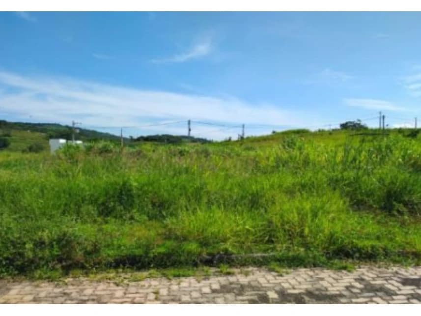 Terrenos à venda em leilão - foto 5
