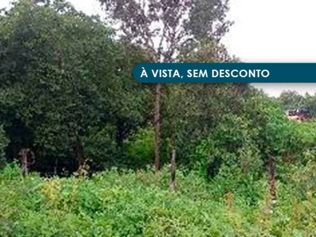 06 Terrenos - Jardim das Acácias - Paraíso do Tocantins - TO - foto 3