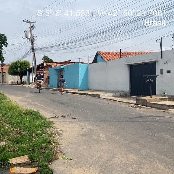 TIMON - PEDRO PATRICIO