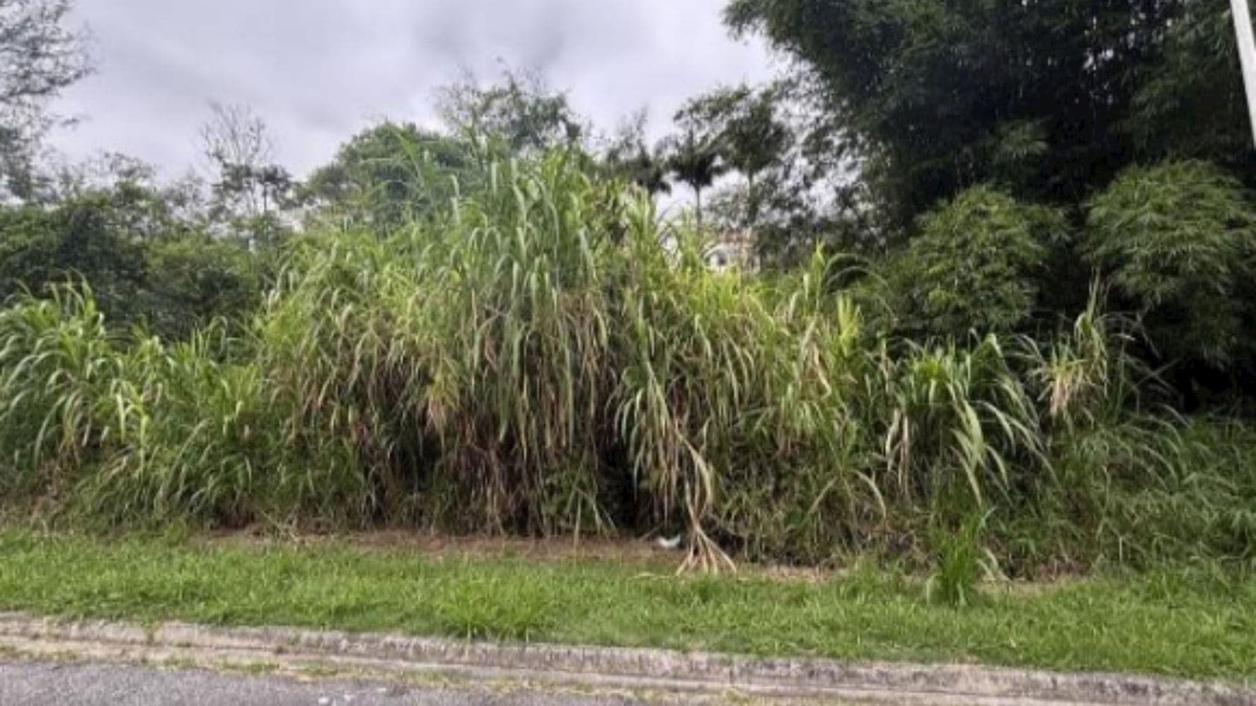 Terreno em "Santa Paula Royal Tênis" - Roçado - São José/SC