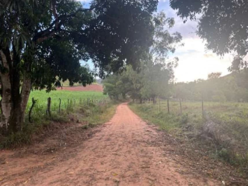 Fazenda à venda em leilão