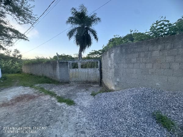 SAO LOURENCO DA MATA - CHA DA TABUA