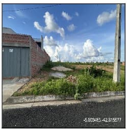 LOT CONVIVER TERESINA