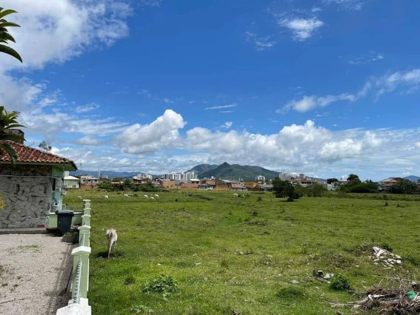 Terreno à venda em leilão - foto 2