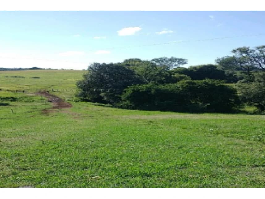Área Rural à venda em leilão - foto 2