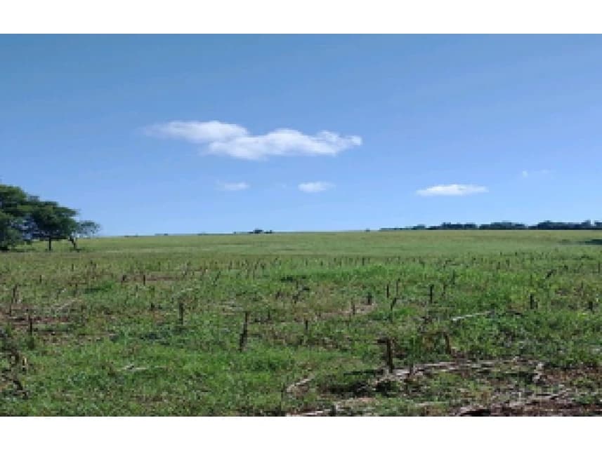 Área Rural à venda em leilão - foto 4